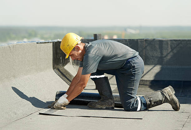 Best Residential Insulation in Craig, AK
